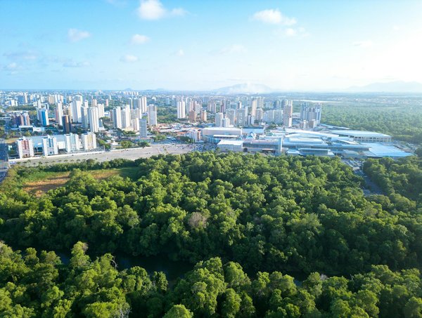 Estimation du coût au m2 pour les services d'un peintre en auto-entreprise