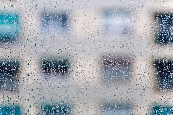 Récupérateur d'eau de pluie : faites le bon choix écologiquement